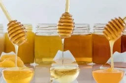 بهترین راه برای تشخیص عسل طبیعی